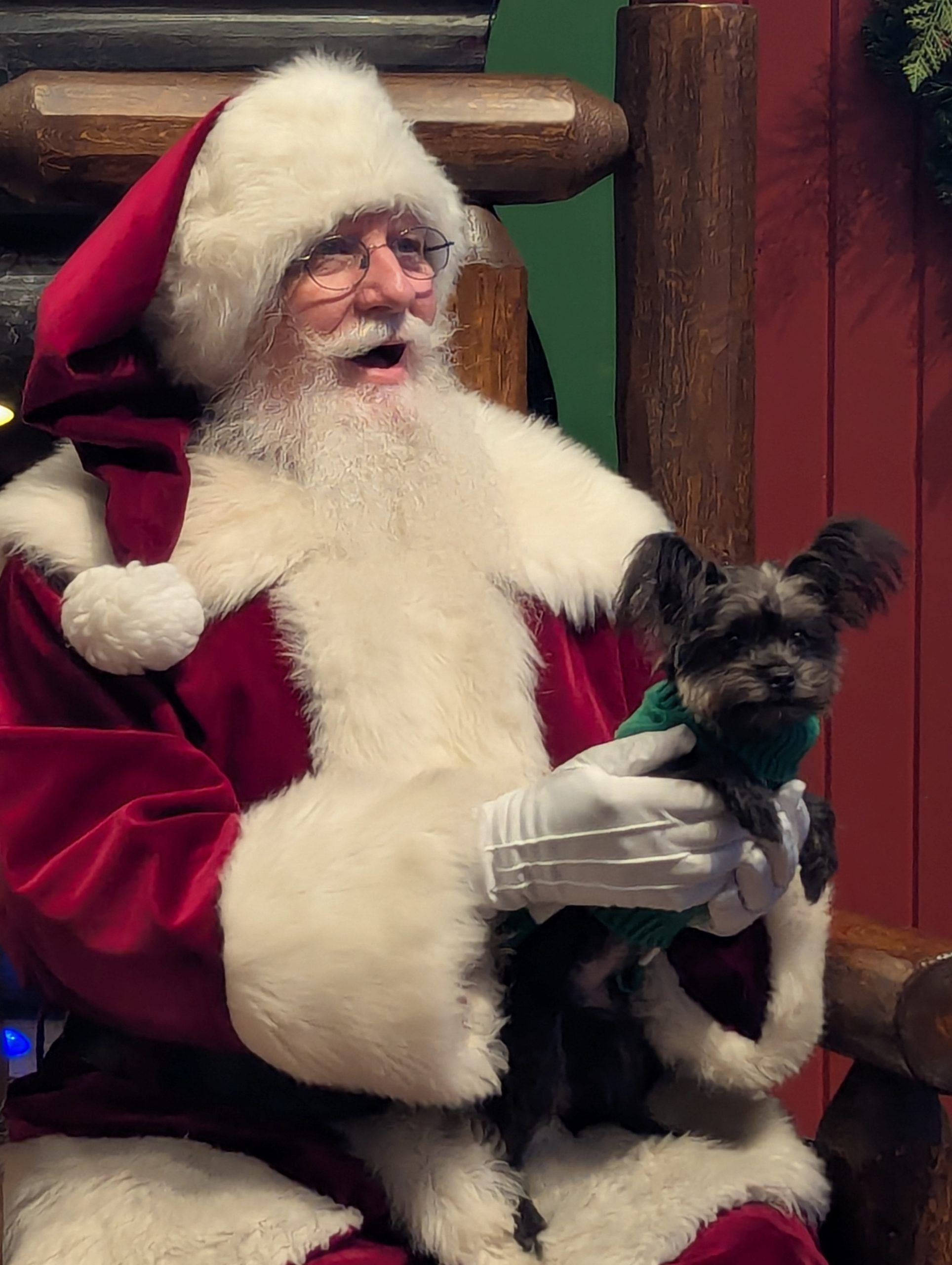 Follow Monkey on Instagram